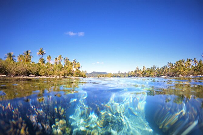 Raiatea-Tahaa Snorkeling in our beautiful Coral Garden - The Tahaa pearl farm: a free stop since Aug 1, 2024