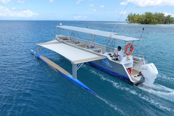 Raiatea-Tahaa Snorkeling in our beautiful Coral Garden - Price and value: what you’re really paying for
