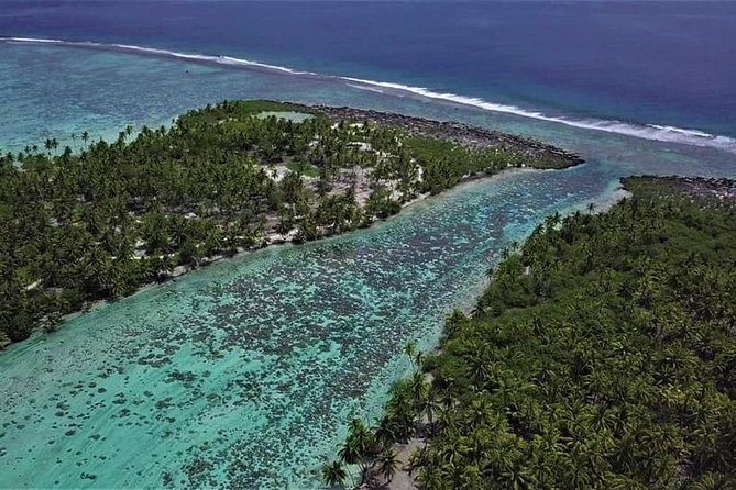 Raiatea-Tahaa Snorkeling in our beautiful Coral Garden - Who should book this snorkeling tour, and who should pause