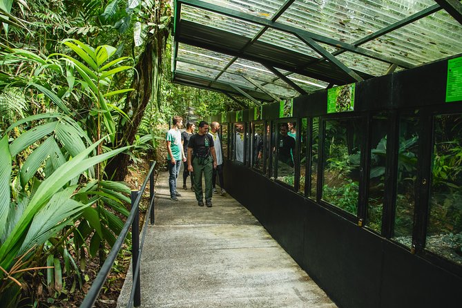 Rainforest Aerial Tram Half Day Pass – Braulio Carrillo Park - Braulio Carrillo From Above: What the Aerial Tram Really Gives You
