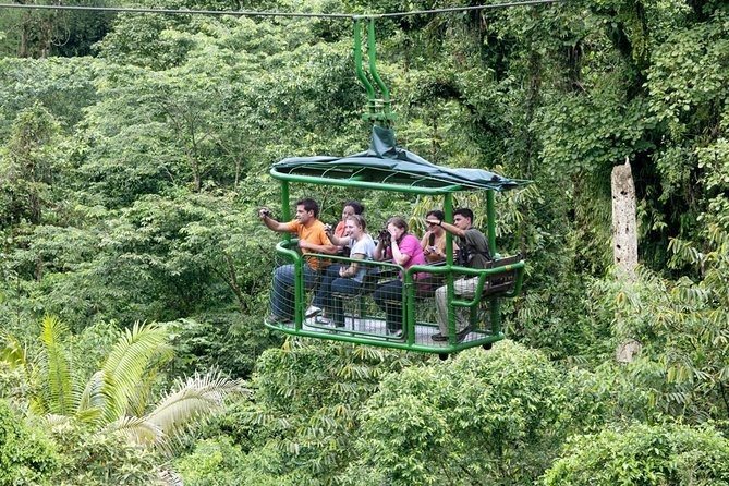 Rainforest Aerial Tram Half Day Pass – Braulio Carrillo Park - Butterfly and Hummingbird Garden: The Best “Look Closely” Stop