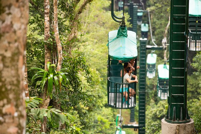 Rainforest Aerial Tram Half Day Pass – Braulio Carrillo Park - Orchid Garden and Terrarium: Plants on the Forest Floor, Creatures in Glass