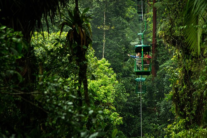 Rainforest Aerial Tram Half Day Pass – Braulio Carrillo Park - The Tram Ride: Open Views, Two Levels, Camera-Friendly Chances