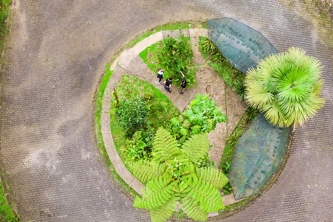 Rainforest Aerial Tram Half Day Pass – Braulio Carrillo Park - Lunch and Staying Flexible: The Part That Can Turn Half Day Into Longer