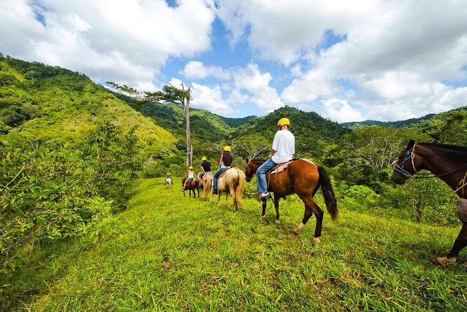 Rainforest Magic Horseback Riding Waterfall Tour Private Park Setting - Getting There: Ocean Ranch Park and the Pickup Zones