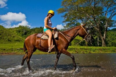 Rainforest Magic Horseback Riding Waterfall Tour Private Park Setting - The Horses: Costa Rican Stepping Horses That Work for Beginners