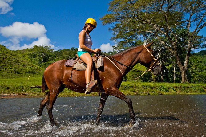 Rainforest Magic Horseback Riding Waterfall Tour Private Park Setting - The Horses: Costa Rican Stepping Horses That Work for Beginners