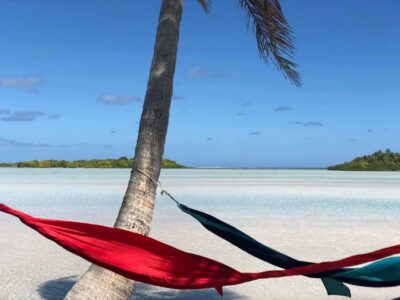 Rangiroa: Blue Lagoon Tiputa Pass Coral Garden Island Birds - Blue Lagoon snorkeling with sharks: what makes it special