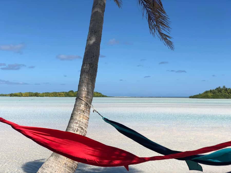 Rangiroa: Blue Lagoon Tiputa Pass Coral Garden Island Birds - Blue Lagoon snorkeling with sharks: what makes it special