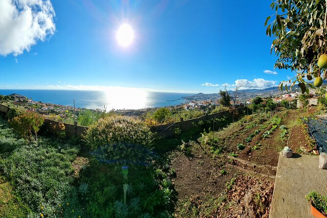 "Re-Canto" Farm-to-Table with Stunning Views at Madeira - Price and Value: What $72.41 Per Person Buys You