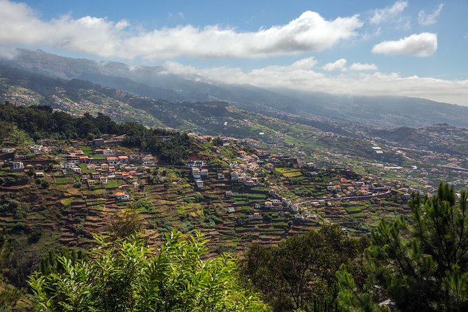 Real Life, Mountains & Sea Cliffs + Lunch + Levada walk - 6 hours - Jardim da Serra and Poncha time: cherries, mimosa, and a short reset
