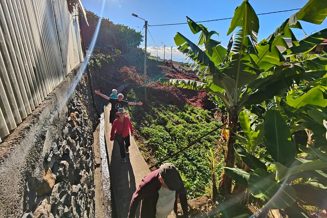 Real Life, Mountains & Sea Cliffs + Lunch + Levada walk - 6 hours - Câmara de Lobos fishing village and Formosa’s volcanic pools