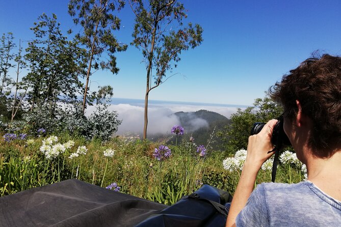 Real Life, Mountains & Sea Cliffs + Lunch + Levada walk - 6 hours - Câmara de Lobos wine and banana valleys: off-track roads that feel real