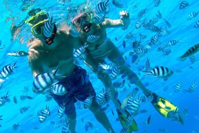 Reef Discovery Private Half Day Lagoon Tour - The snorkeling route: four reef moments that cover the lagoon’s highlights
