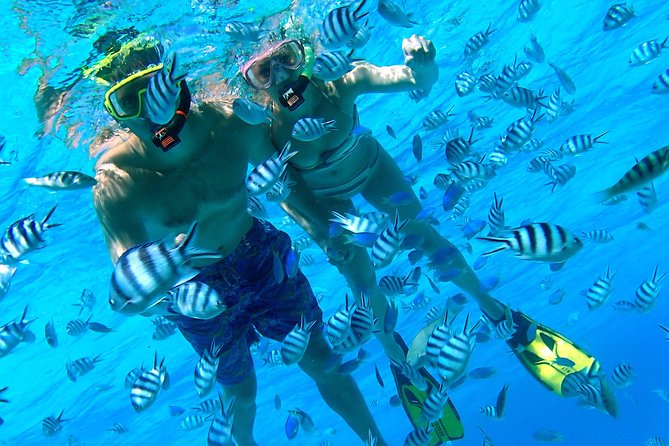 Reef Discovery Private Half Day Lagoon Tour - The snorkeling route: four reef moments that cover the lagoon’s highlights