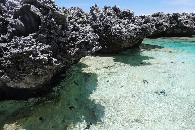 REEF ISLAND | private island | pink sand | natural swimming pools - BBQ lunch, weaving demonstration, and pool-time freedom
