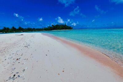 REEF ISLAND | private island | pink sand | natural swimming pools - The feo stop and coral garden snorkeling