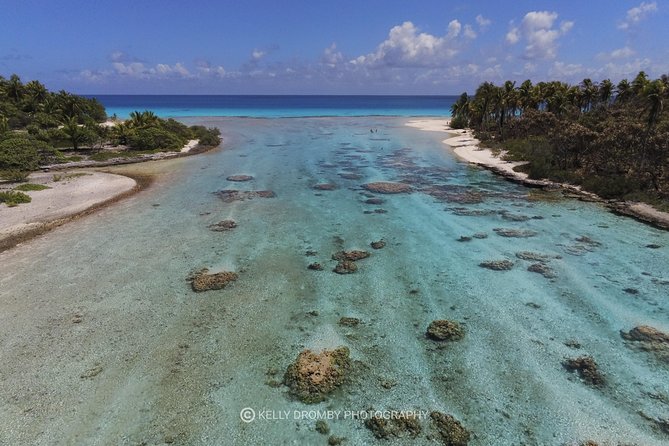REEF ISLAND | private island | pink sand | natural swimming pools - Tiputa Pass dolphins and the aquarium snorkeling stop