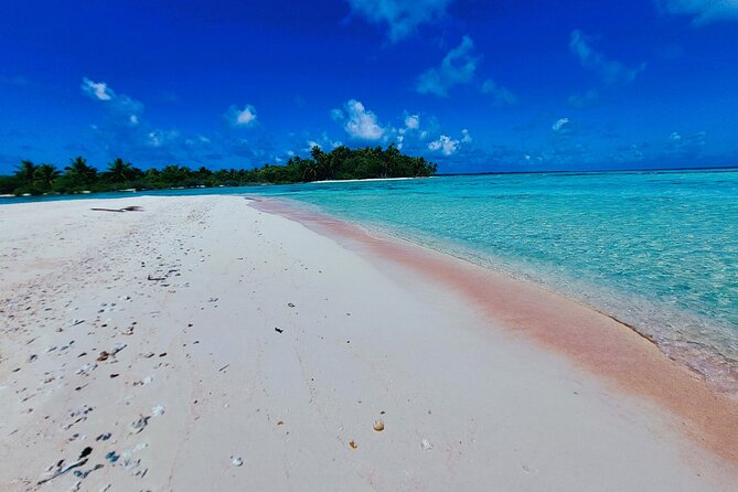 REEF ISLAND | private island | pink sand | natural swimming pools - The feo stop and coral garden snorkeling