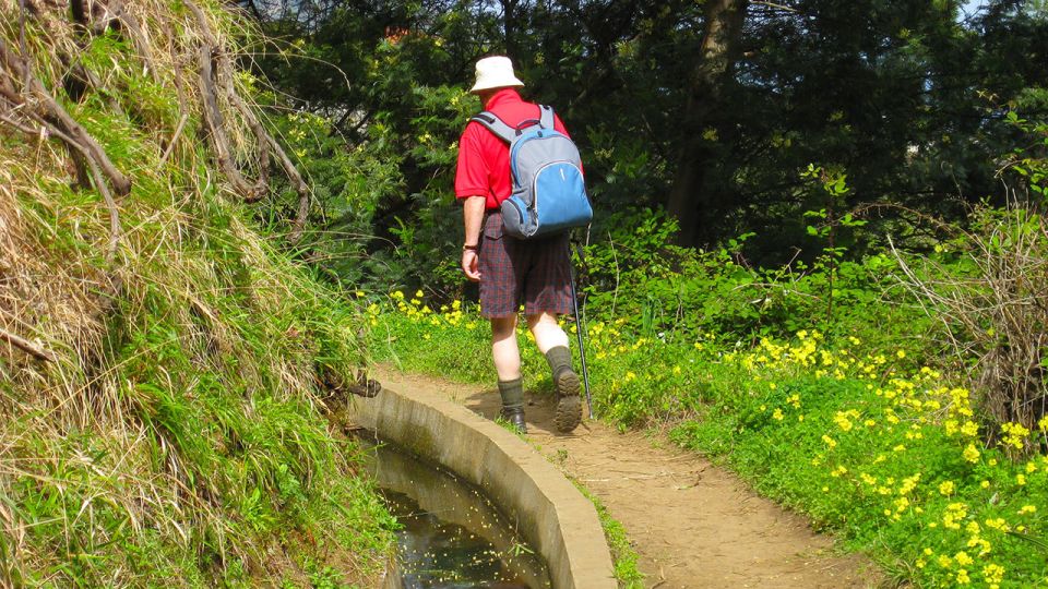 Referta / Castelejo - Levada Walk - Referta/Castelejo Levada Walk: the real feel of the route