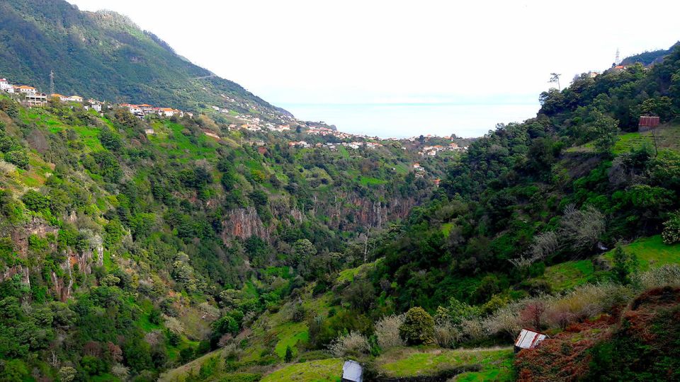 Referta / Castelejo - Levada Walk - Along the levada: endemic plants and the guide-led magic