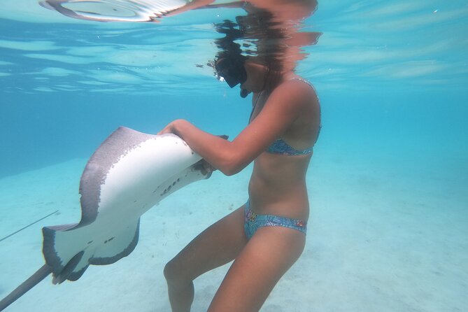 Respectful whale excursion to Tahiti in 4h30 - Respect for Wildlife: Why This Tour Feels Different