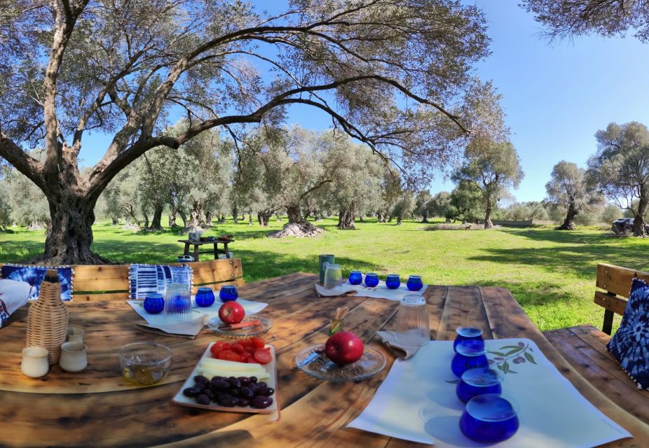 Rethymno: Olive Oil Tasting with Cretan Food Pairing - The Tasting Table: How the Four Olive Oils Teach You to Notice Differences