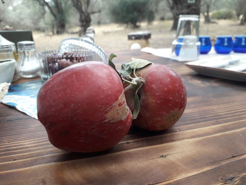 Rethymno: Olive Oil Tasting with Cretan Food Pairing - Food Pairing With Cretan Plates: The Lesson Hiding in Plain Sight