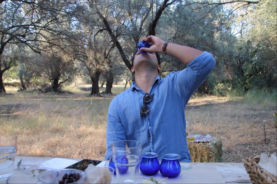Rethymno: Olive Oil Tasting with Cretan Food Pairing - Harvest, Extraction, and High-Quality Olive Oil: What You Should Expect to Learn