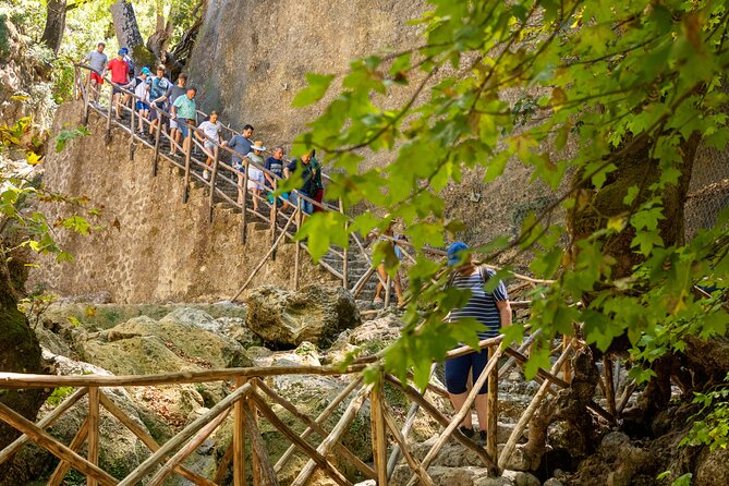 Rhodes: Butterfly Valley & Seven Springs Nature Day Trip - Seasonality: When Butterflies Are Worth It