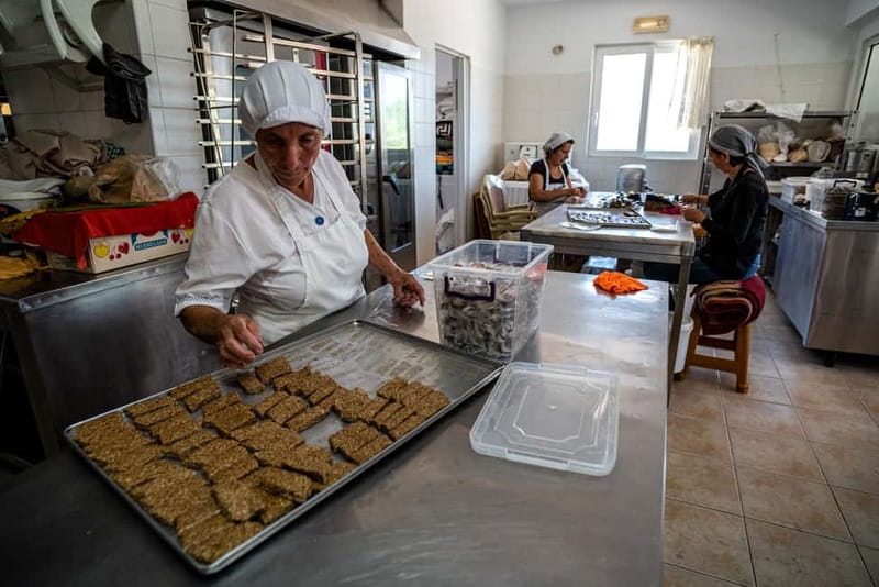 Rhodes: Cooking Lesson and Wine Tasting with Lunch - Wine tasting in a small winery: grape varieties, not tourist talk