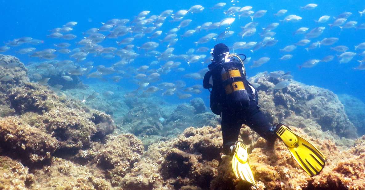 Rhodes: Diving Adventure for Beginners and Experts - Key Points You’ll Care About Before Booking
