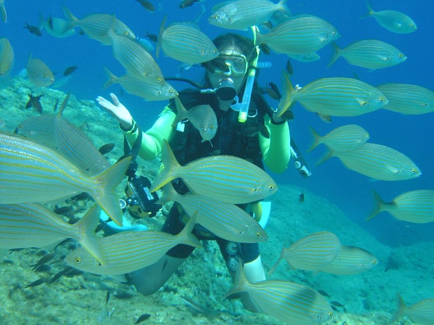Rhodes: Diving Adventure for Beginners and Experts - A Small-Group Rhodes Scuba Day With Real Coaching