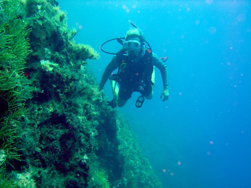 Rhodes: Diving Adventure for Beginners and Experts - The Practical Itinerary: How the Day Flows