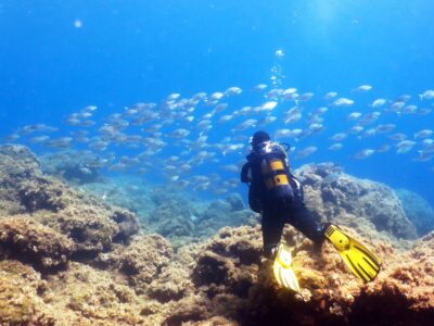 Rhodes: Diving Adventure for Beginners and Experts - Safety Briefing That Actually Prepares You