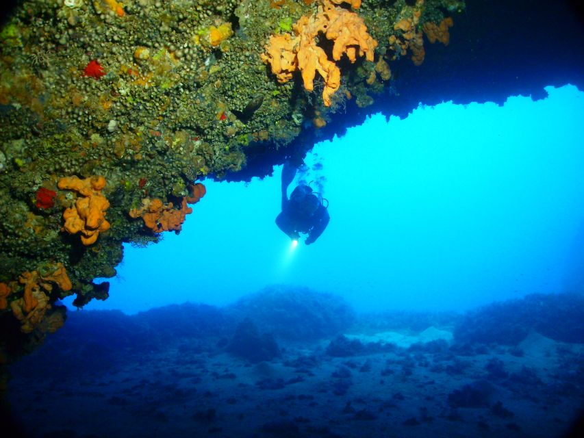 Rhodes: Diving Adventure for Beginners and Experts - Price and Value: Is $82 a Good Deal?