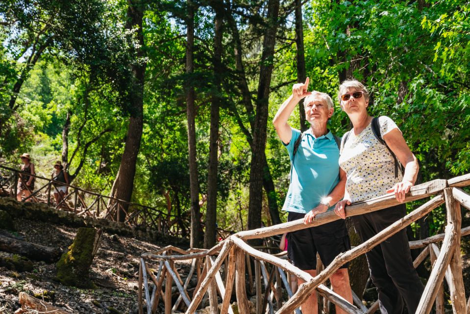 Rhodes: Filerimos Hill and Butterfly Valley Bus Trip - Price and Value: What Your $31 Actually Covers
