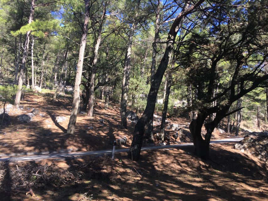 Rhodes: Full–Day 4WD Northern Safari Tour - Quick reasons I’d pick this 4WD safari