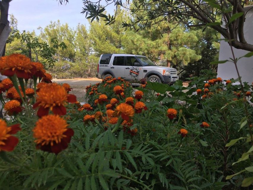Rhodes: Full–Day 4WD Northern Safari Tour - When the safari vibe might not be your best match