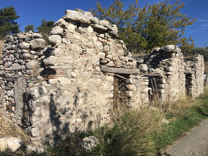 Rhodes: Full–Day 4WD Northern Safari Tour - Lunch, wine, and the value question (is $135 worth it?)