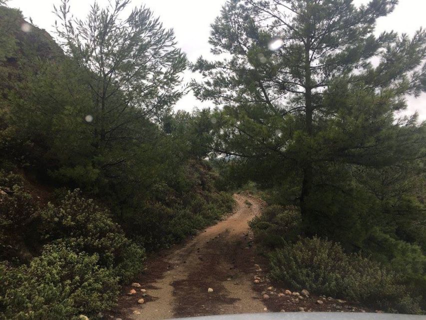 Rhodes: Full–Day 4WD Northern Safari Tour - Practical tips so your day runs smoothly