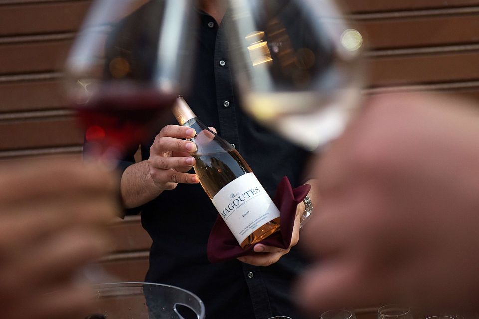 Rhodes: Private Wine Tasting Experience for Beginners - What wines you’ll taste: white, red, rosé and how the guide helps you sort them
