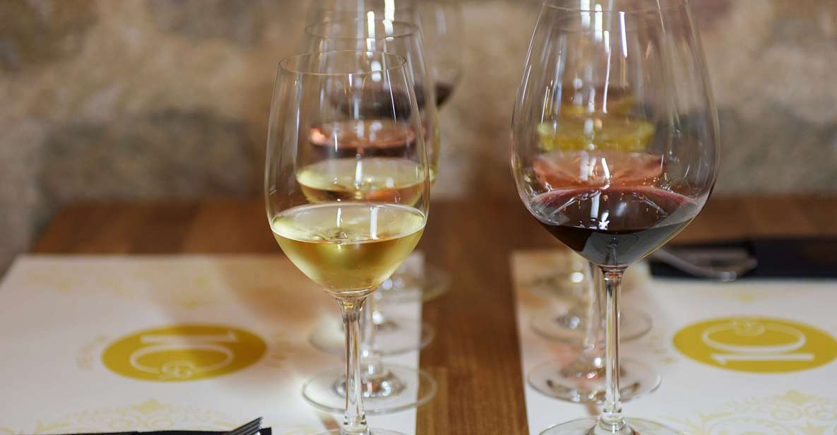 Rhodes: Private Wine Tasting Experience for Beginners - Who this tasting is best for (and who might want something else)