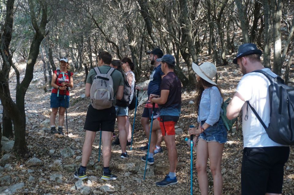 Rhodes: Profitis Ilias Guided Sunset Hike - Key highlights you’ll care about