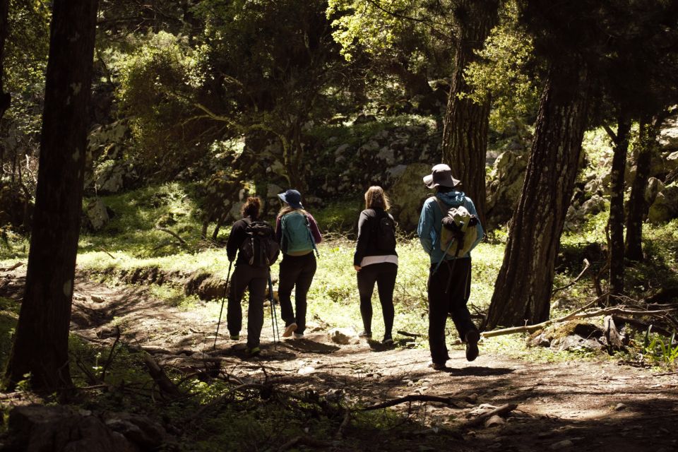 Rhodes: Profitis Ilias Guided Sunset Hike - Who this fits (and who should skip it)