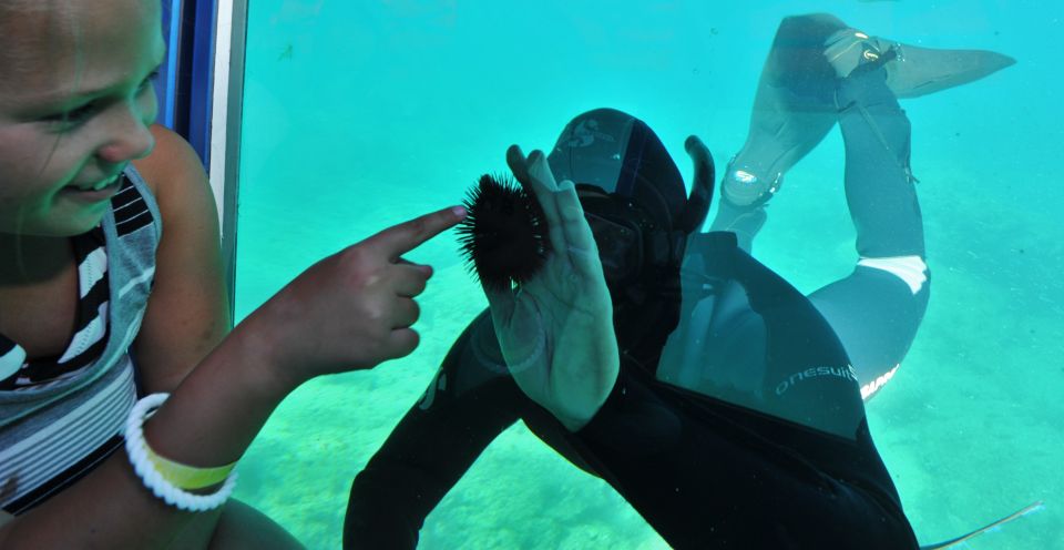 Rhodes Town: Yellow Submarine Cruise with Underwater Views - Key Reasons This Cruise Works So Well