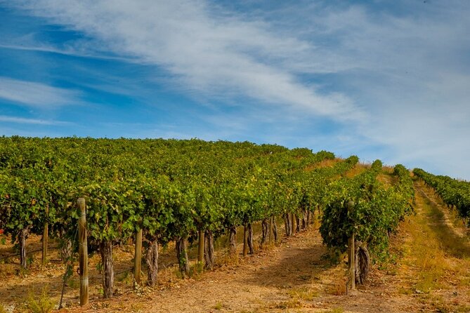 Rhodes Wine & Food Tour: 10 Meal Course Lunch, Wine Tasting, Cooking Class - Value check: does $156 feel fair for what you get?