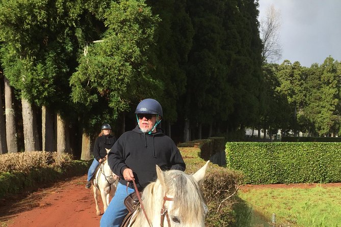 ride a volcano - go to the gardens in the woods - Key things to know before you book