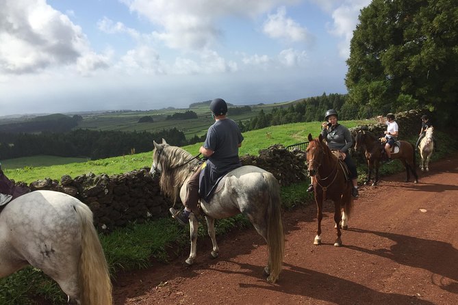 ride a volcano - go to the gardens in the woods - From Basalto Clube de Campo to a volcano viewpoint above Terceira