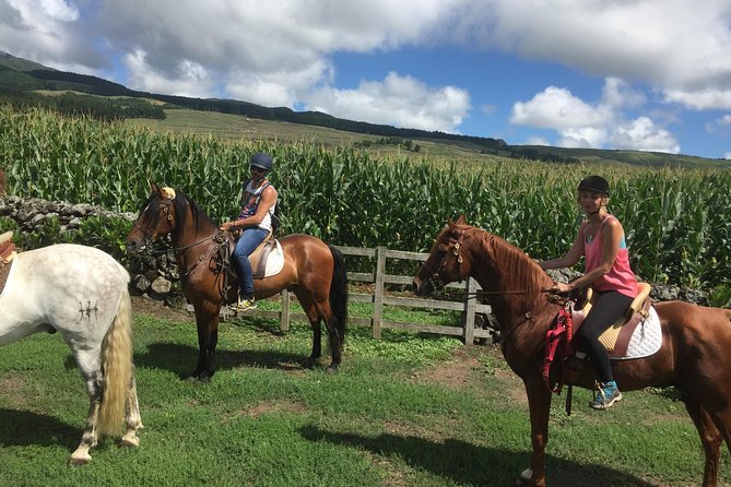 ride a volcano - go to the gardens in the woods - Horses, helmets, and how the guides keep you comfortable